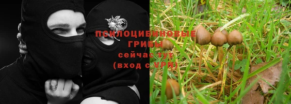 2c-b Абдулино