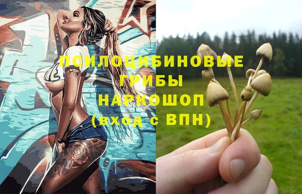 2c-b Абдулино