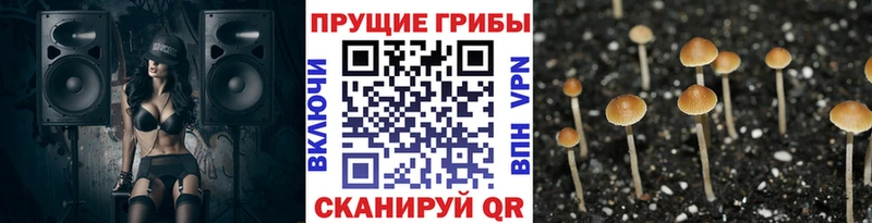 Псилоцибиновые грибы ЛСД  KRAKEN рабочий сайт  Чулым 